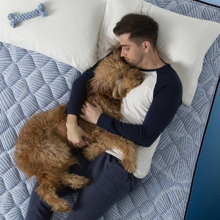 Serta Perfect Sleeper Innerspring Mattress Blue Lagoon Nights Plush Pillow Top - Twin XL image