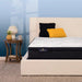 Serta Perfect Sleeper Innerspring Mattress Adoring Night Plush Euro Top - California King image